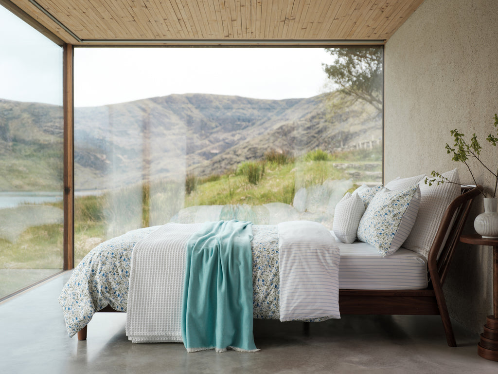 Foxford Cornflower Collection