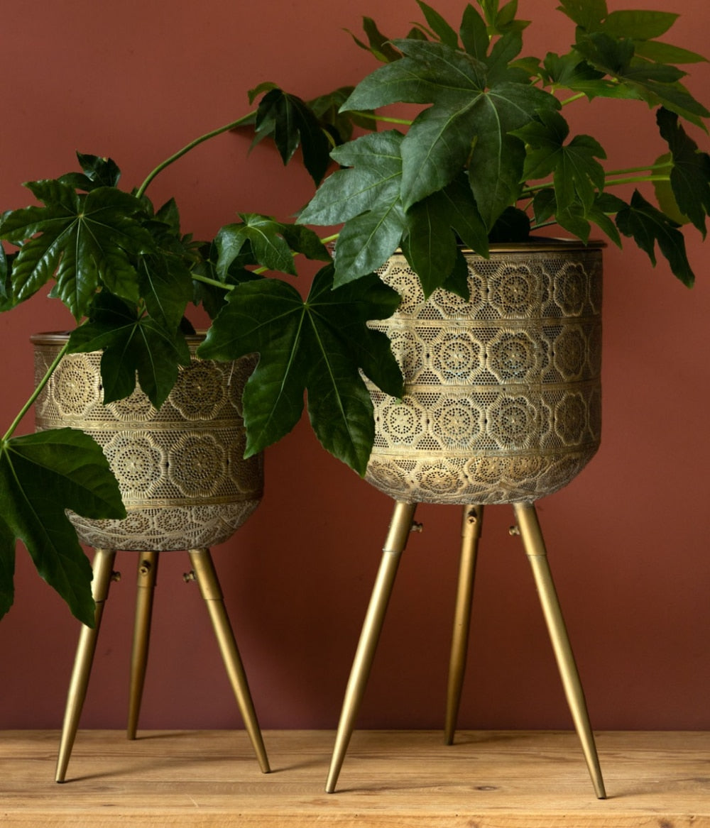 xlarge pot stand plant Botanique Large Plant Stand – Foxford